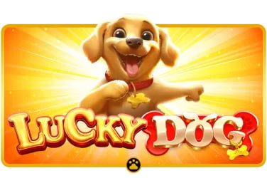Tampilan live dealer dan slot di platform pecitoto